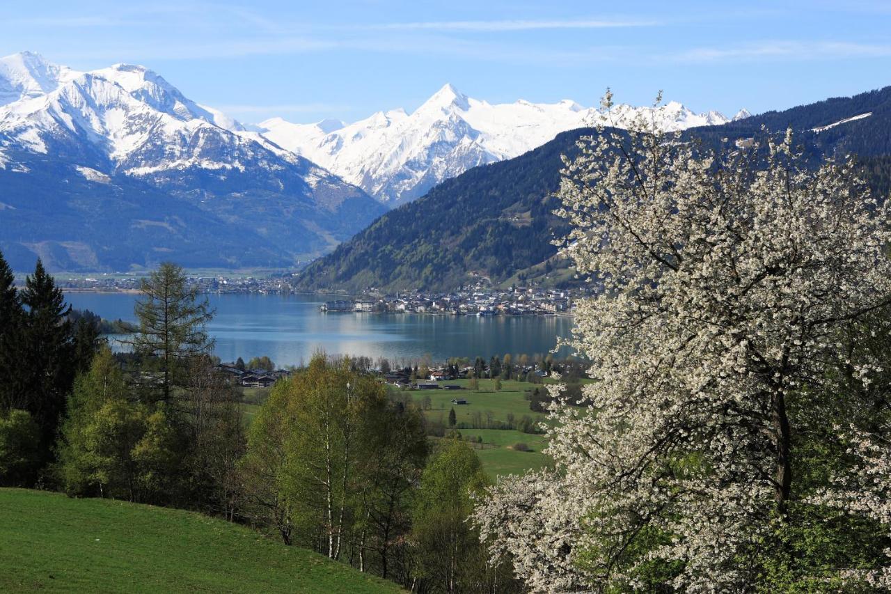 Gasthof Zacherlbraeu Fusch an der Glocknerstraße Esterno foto